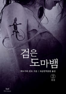 검은 도마뱀 2 (완결)