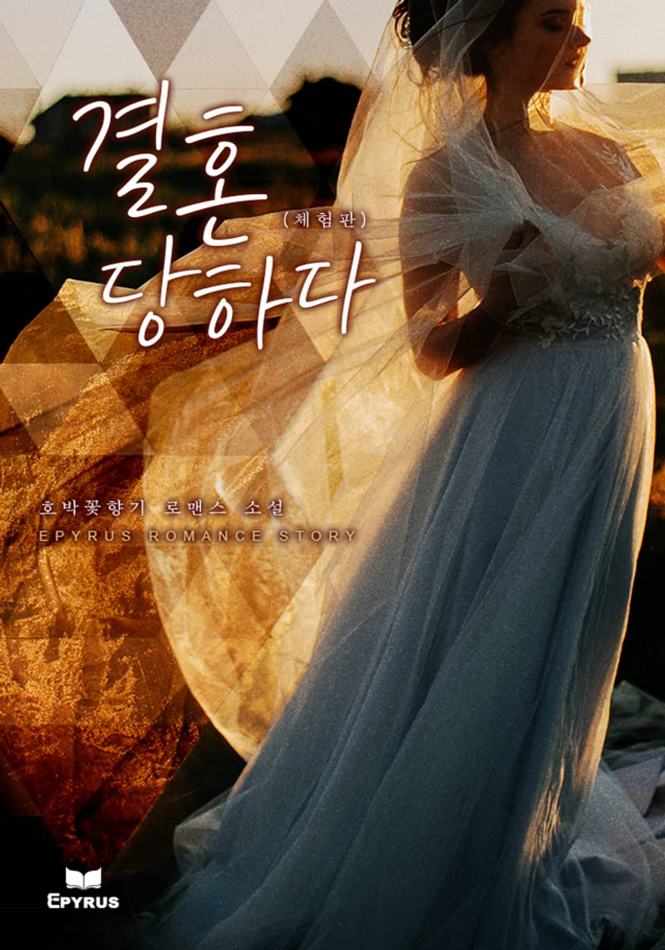 [체험판] 결혼당하다