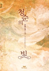 청순의 빛 표지 이미지