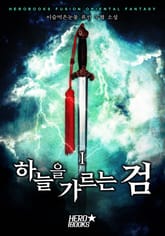 하늘을 가르는 검 표지 이미지