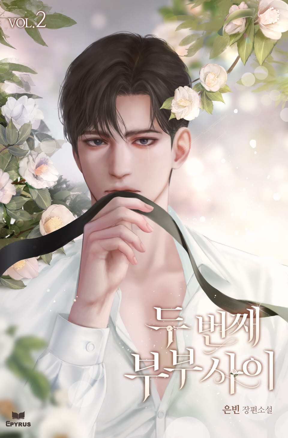 두 번째 부부 사이 2권 (완결)