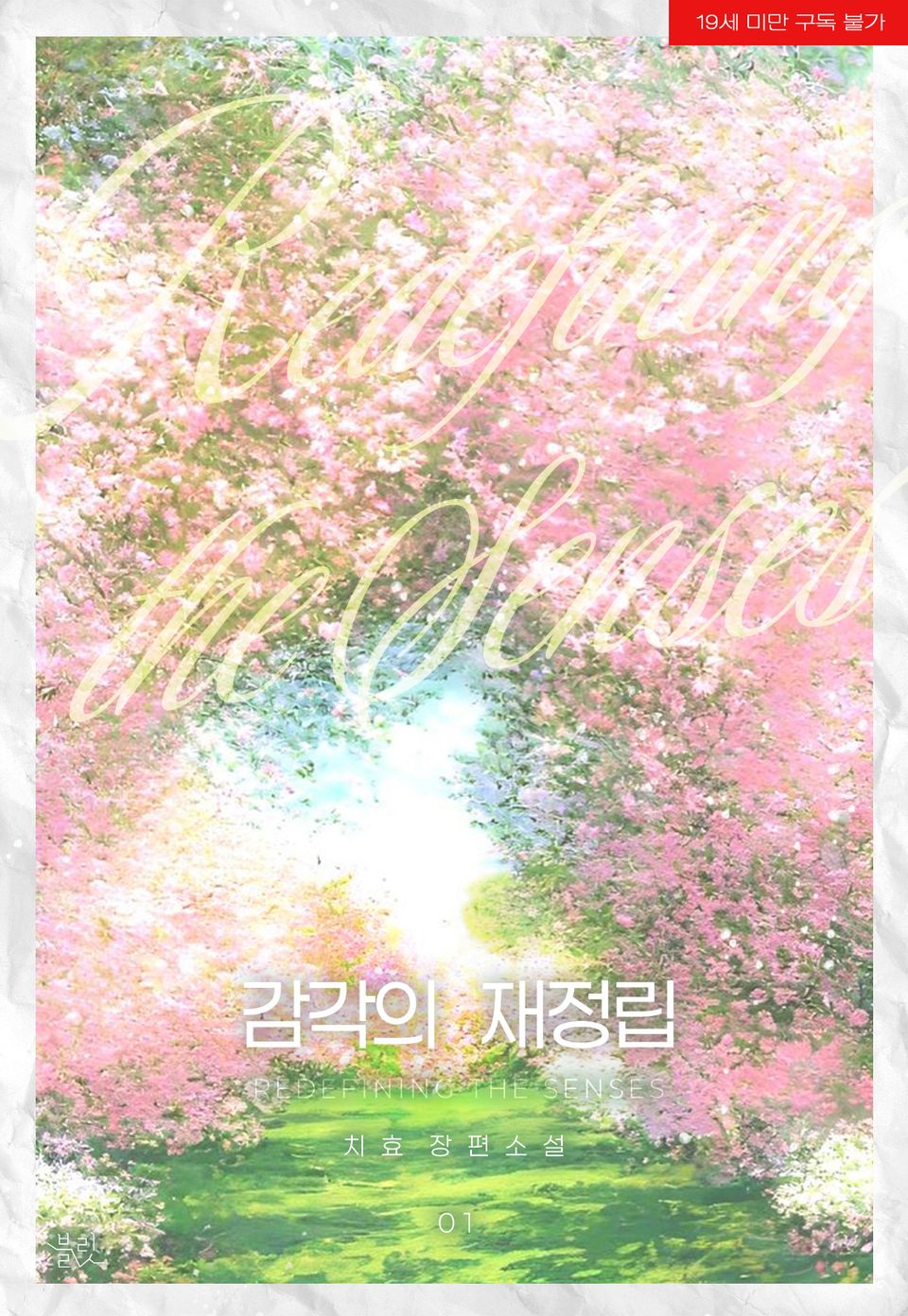 감각의 재정립