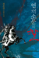 연개소문의 칼 표지 이미지