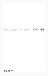 니체의 지혜 표지 이미지