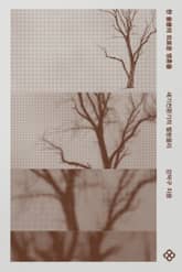 한 움큼의 외로운 영혼들 표지 이미지