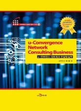 u-컨버젼스 네트워크 컨설팅 실무 표지 이미지