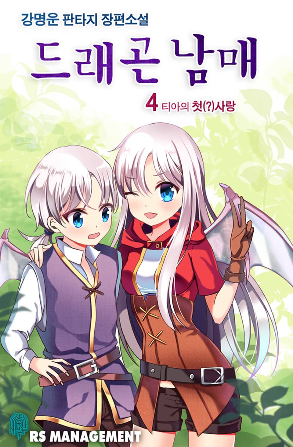 드래곤 남매 4권