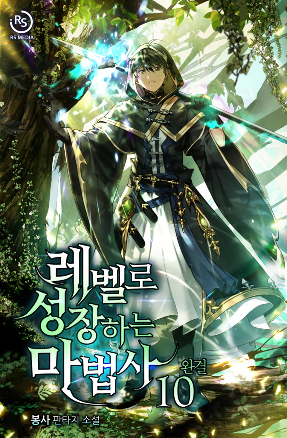 레벨로 성장하는 마법사 10권 (완결)