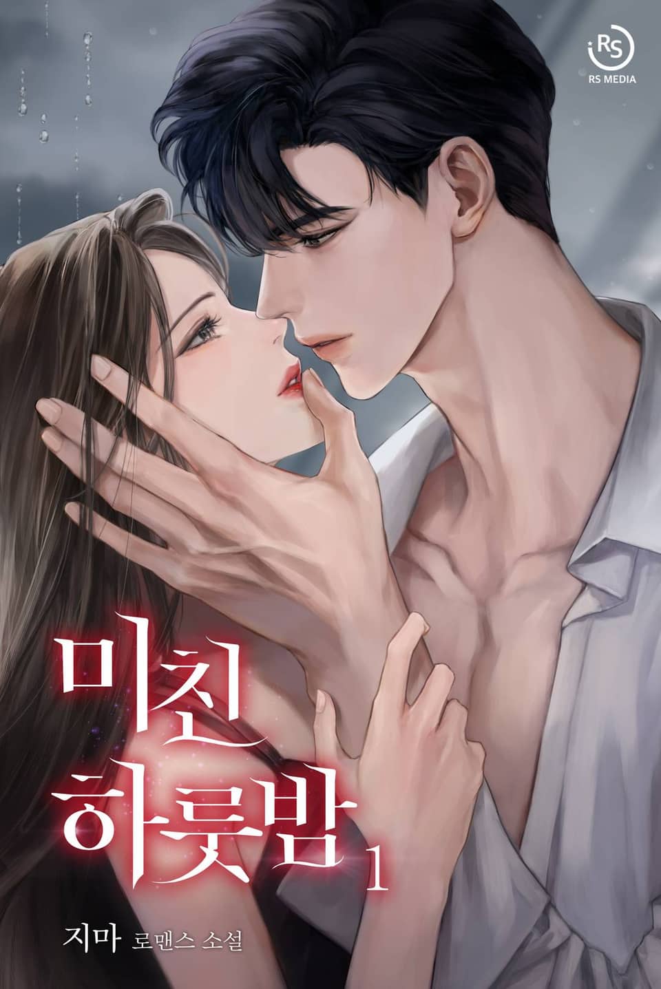 미친 하룻밤 1권