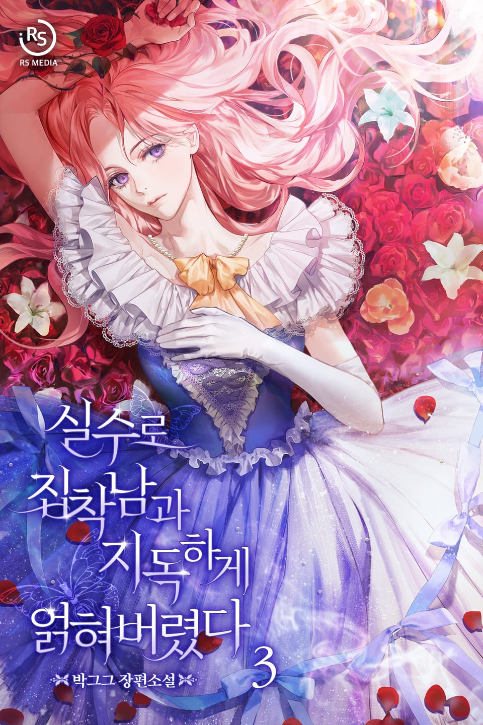 실수로 집착남과 지독하게 얽혀버렸다 3권