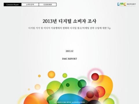 2013년 디지털 소비자 조사 표지 이미지