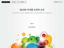 2014년 디지털 소비자 조사