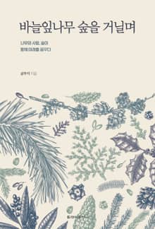 바늘잎나무 숲을 거닐며