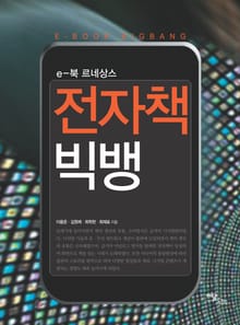 전자책 빅뱅 : e-북 르네상스