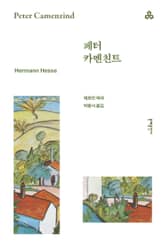 개정판 | 페터 카멘친트 표지 이미지