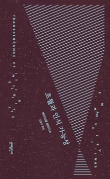 초월과 인식 가능성