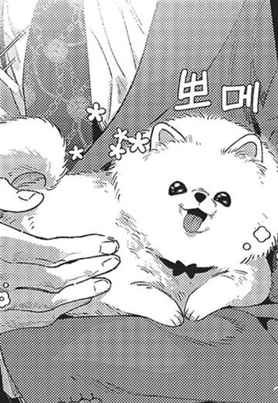 [루비] 시마짱네 짝의 사정 17화