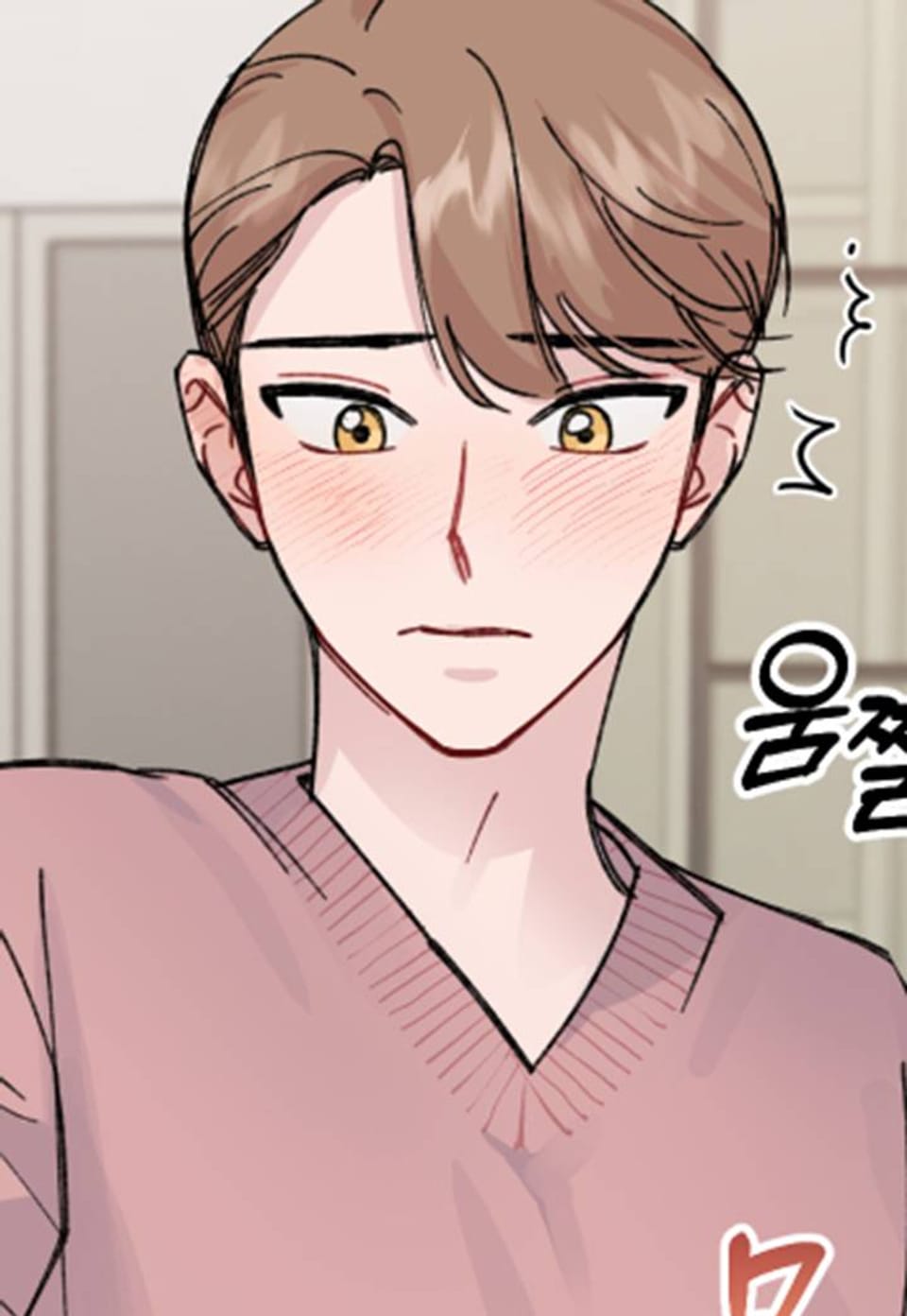 리얼펄슨 로맨스 13화