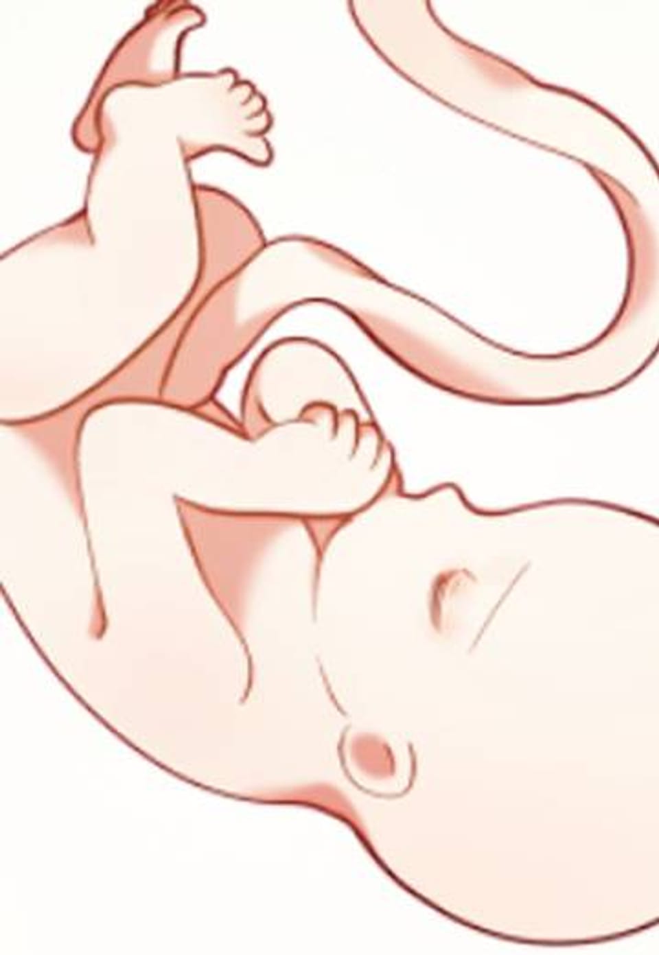 미명의 추적자 [완전판] 102화