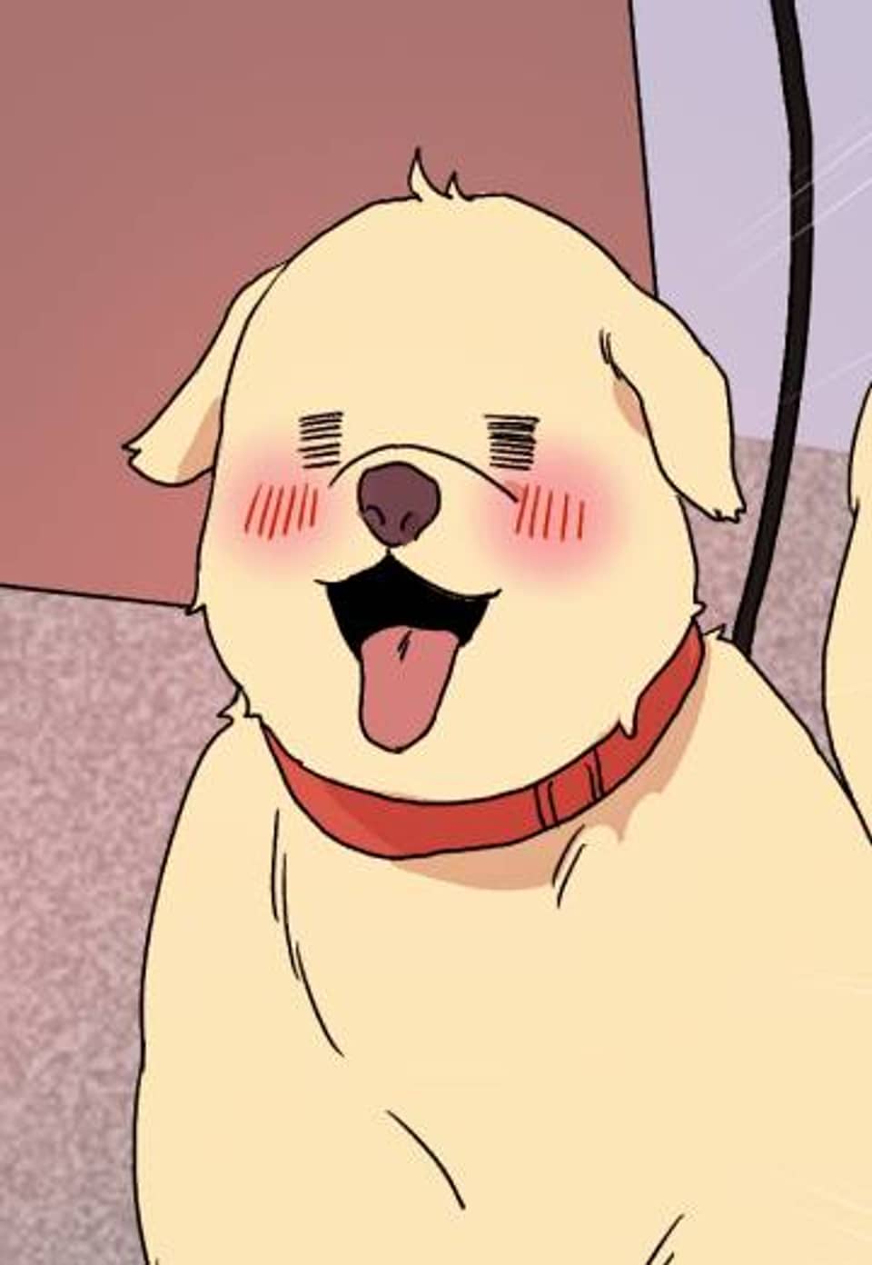 내 룸메이트를 소개합니다 26화