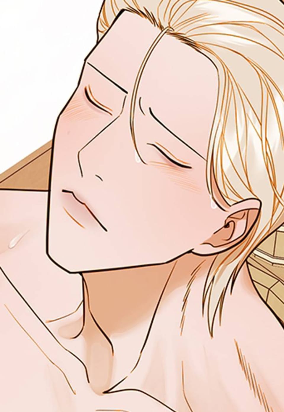 캐스니어 비망록(일반판) 14화