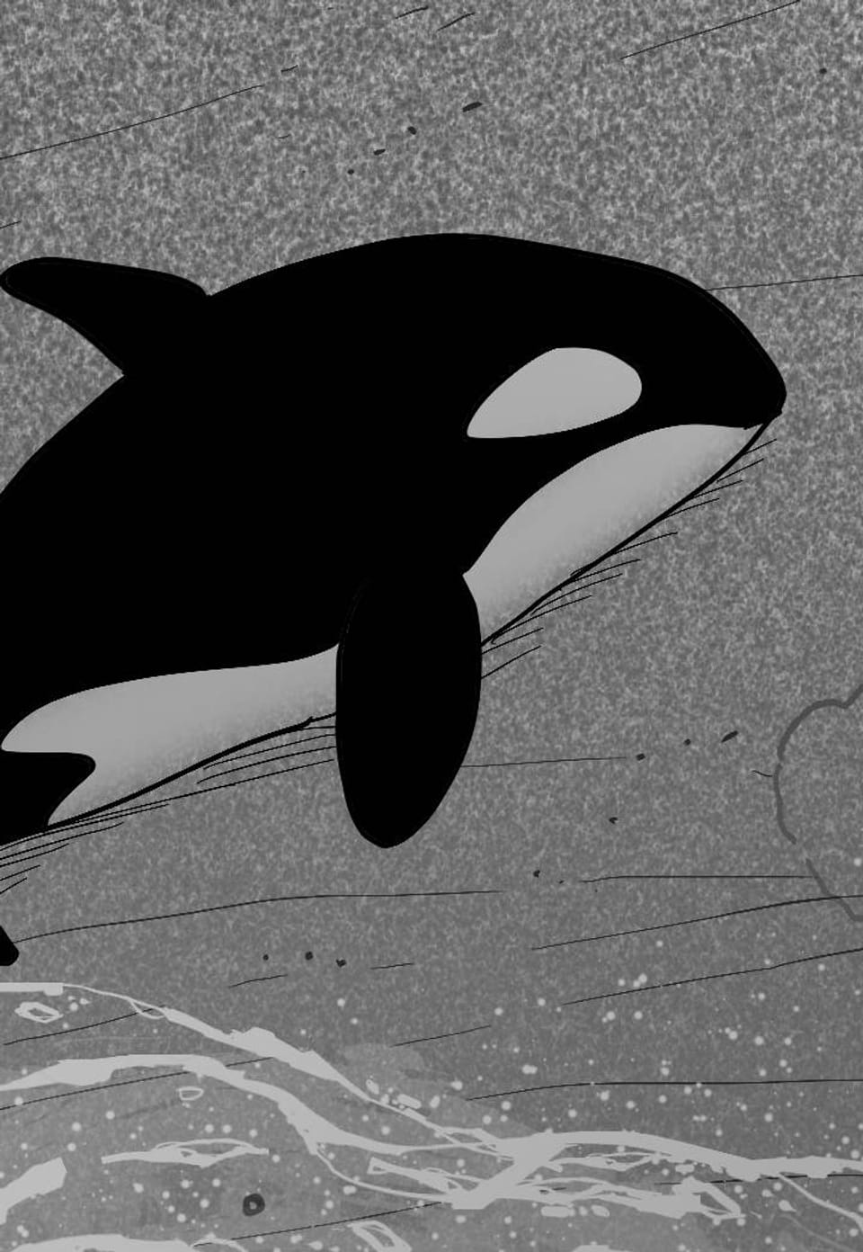 사건명 해일: 범고래 사냥법 설 특별편