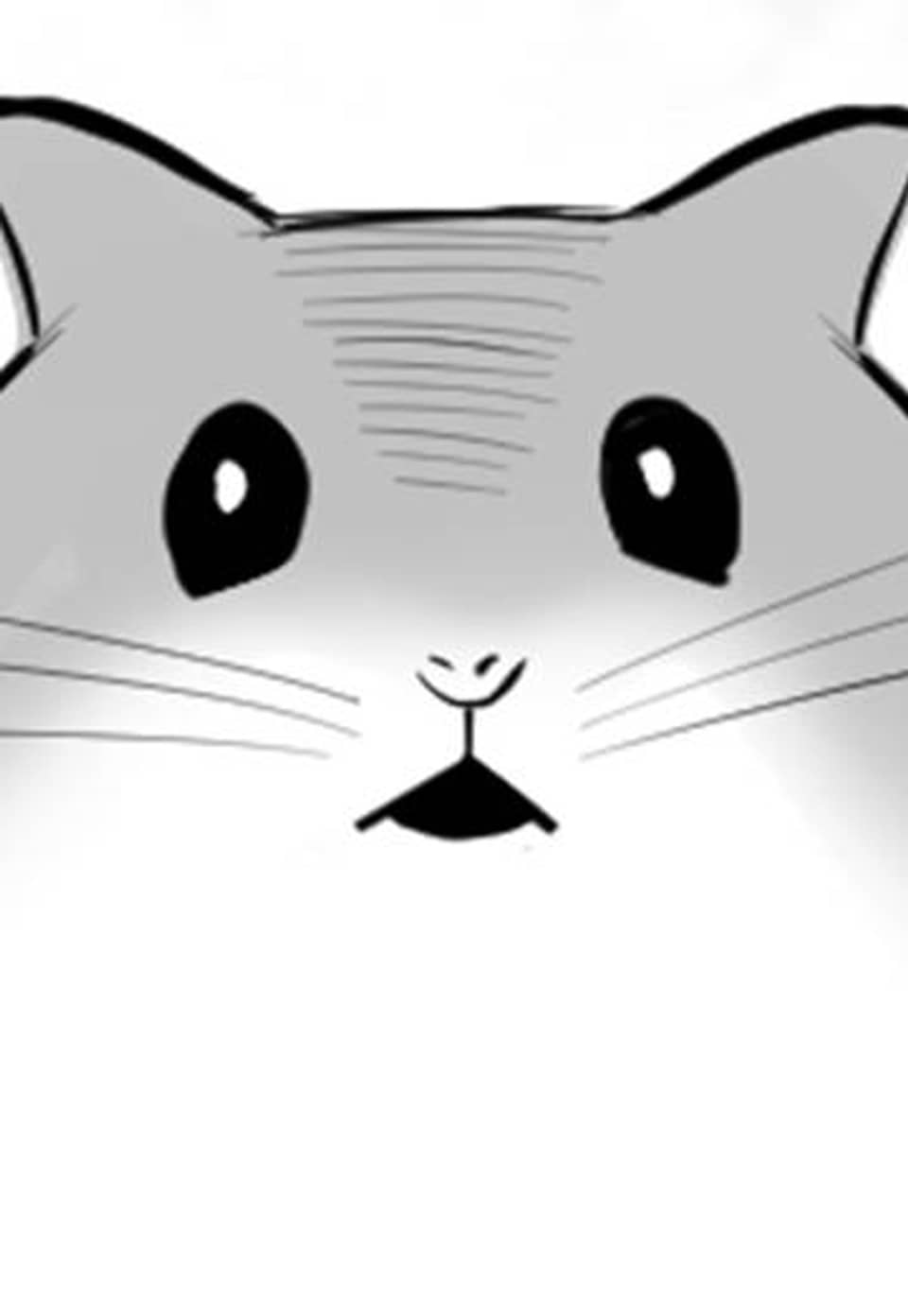 스위치 프로젝트 25화