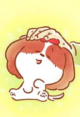 도기코기 5화