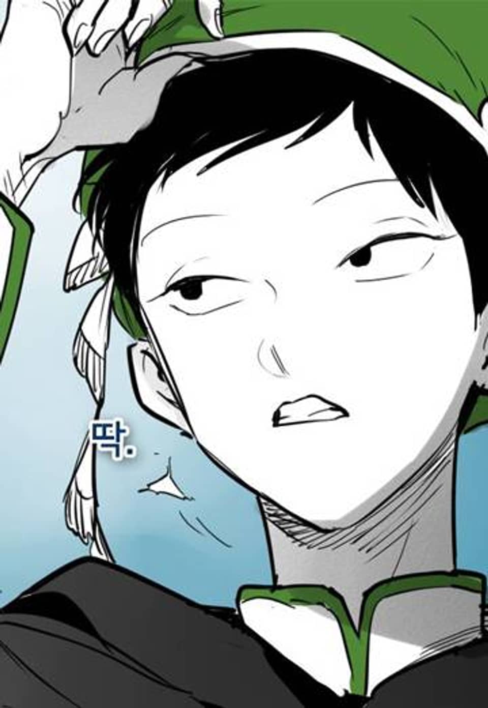 표준규격전사 239화