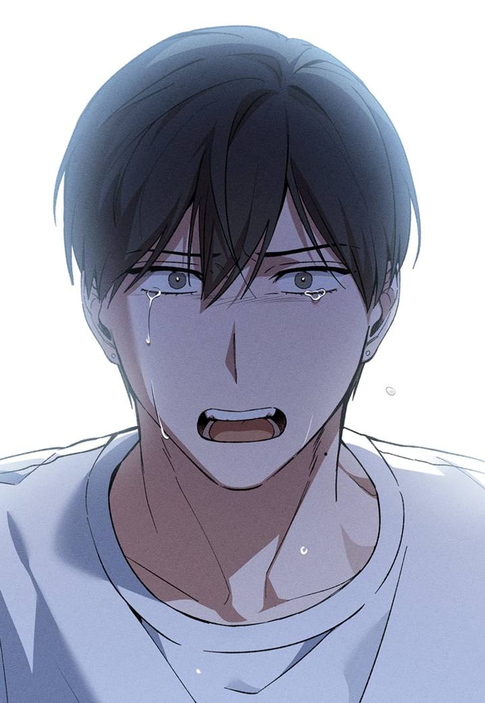 양의 거짓 12화