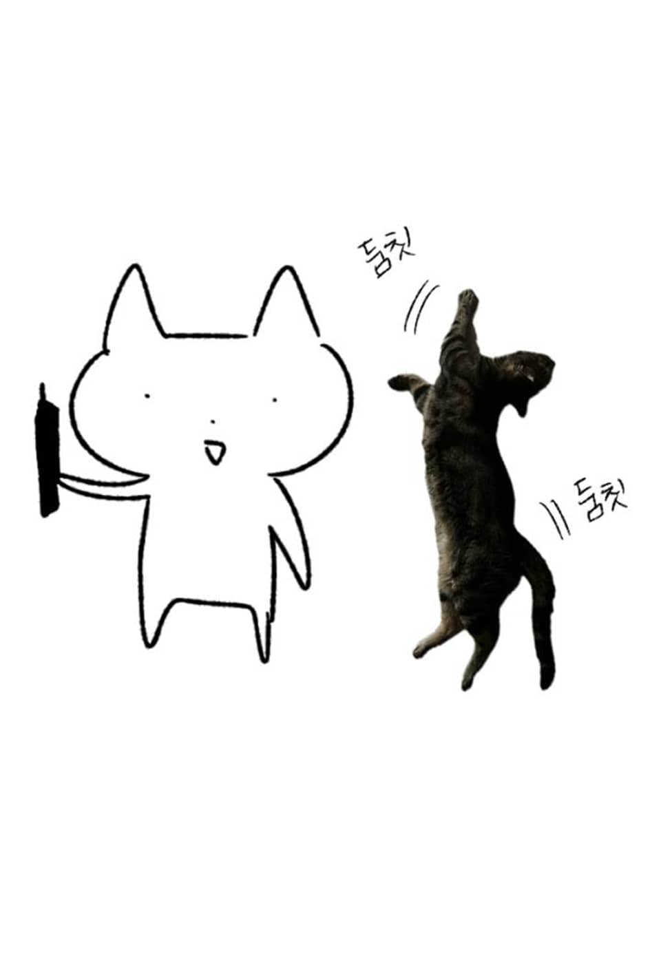 캐치업 완결후기