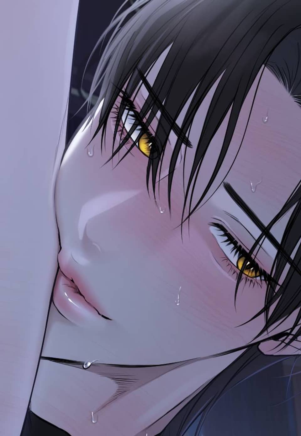 숨어드는 볕 25화