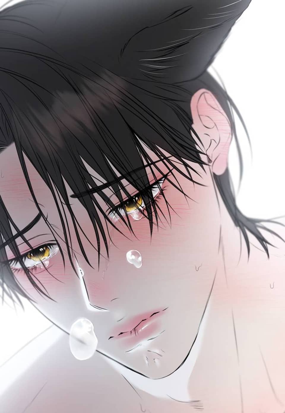 숨어드는 볕 29화