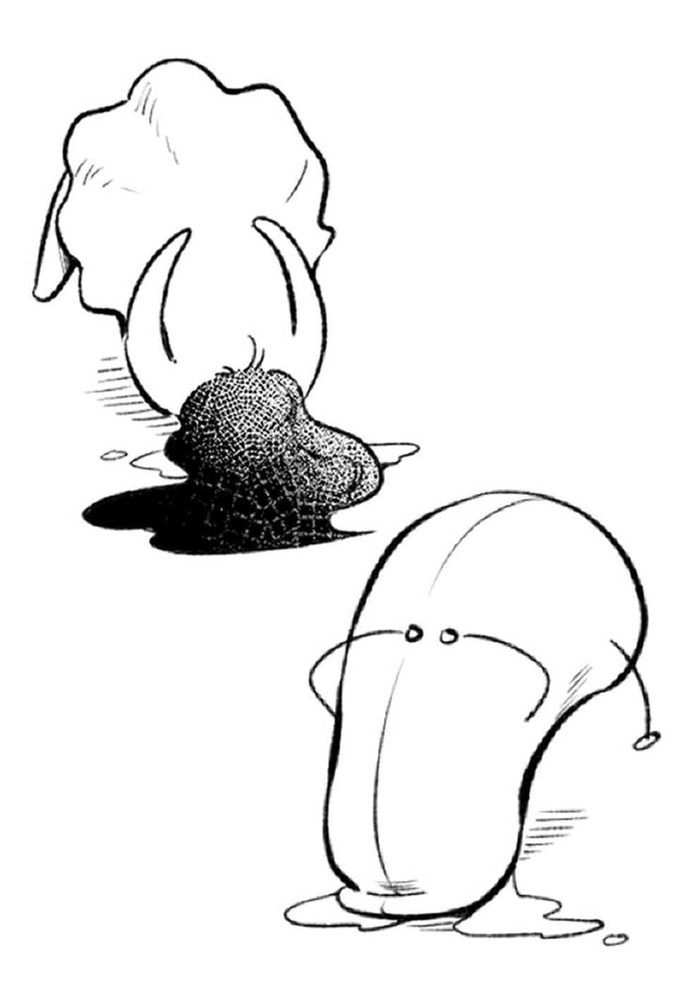 허니베어 휴재공지