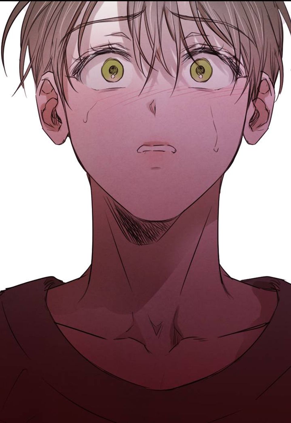 버드나무 로맨스 28화