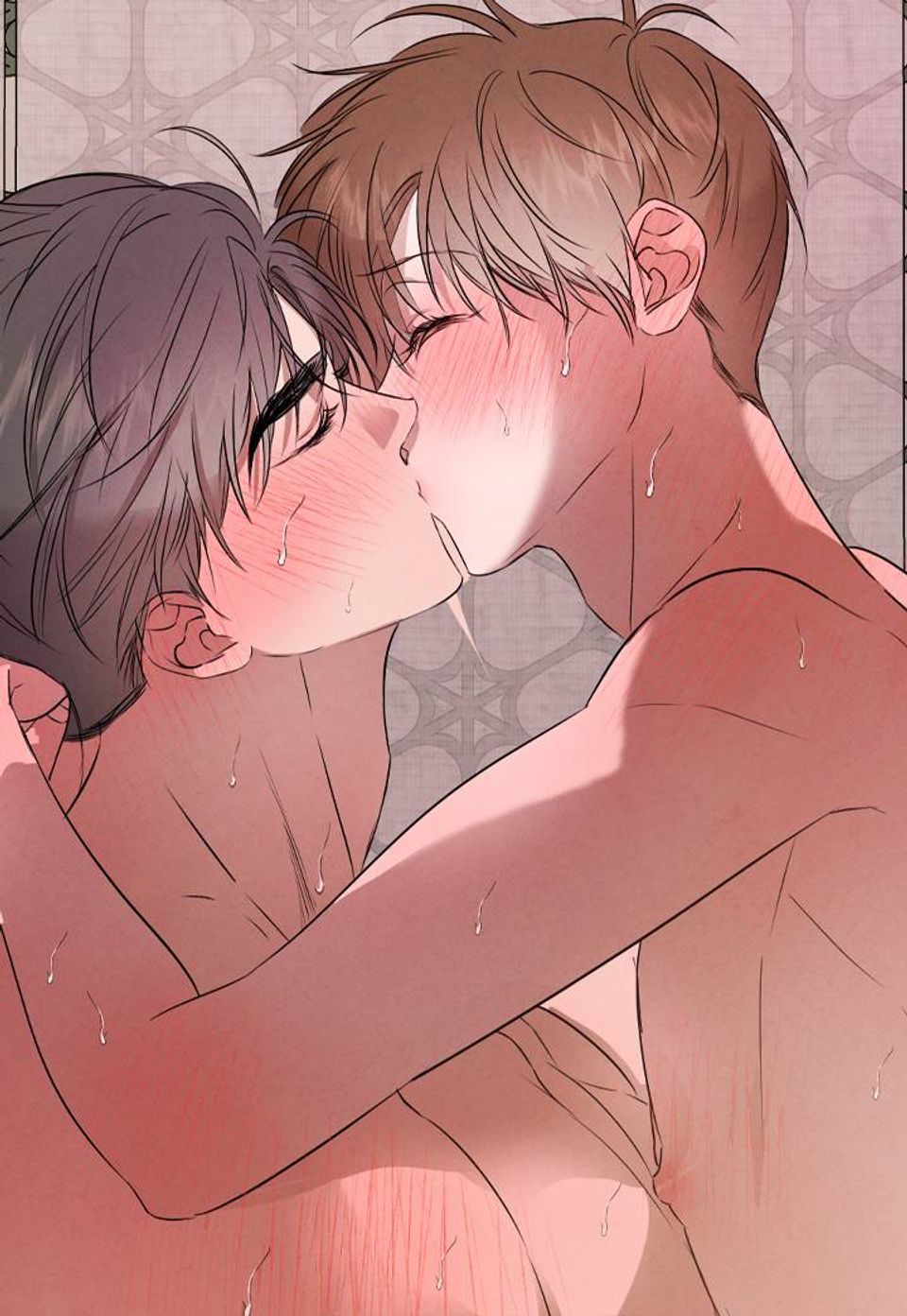 버드나무 로맨스 외전 최종화