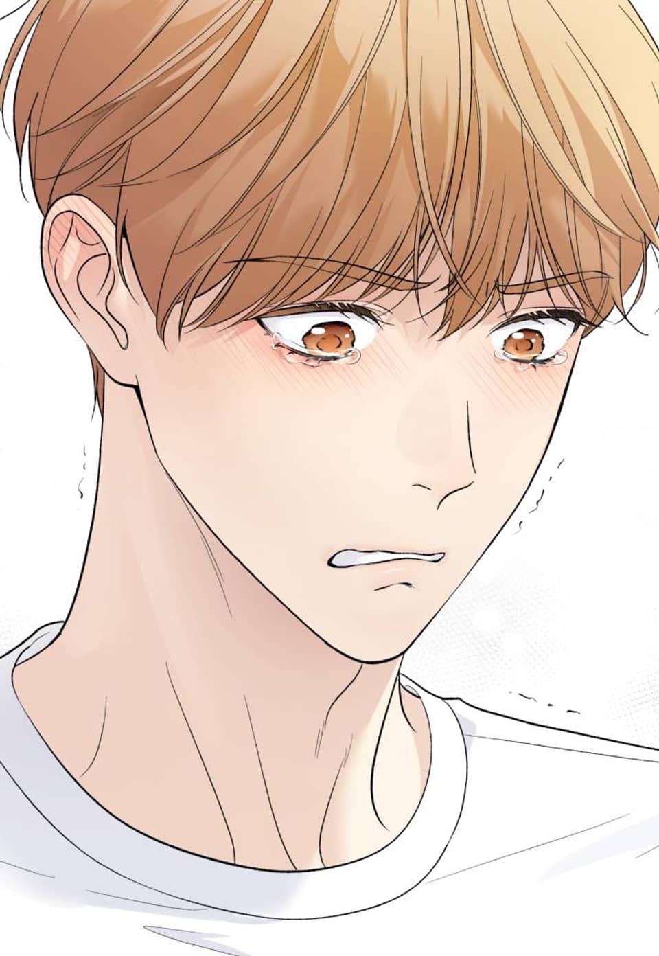 모두에게 친절한 너는 왜 67화