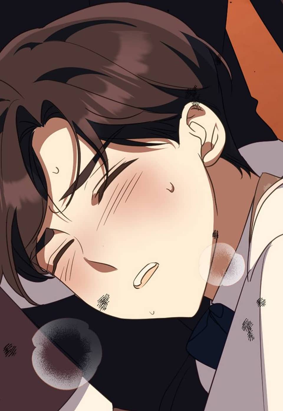 디에 멜루시네 25화
