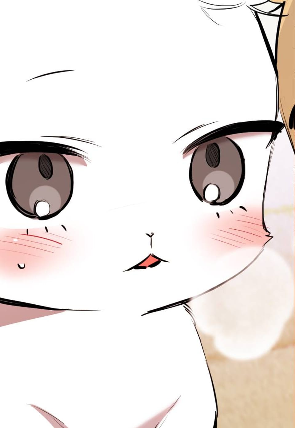 하비비의 토끼들 29화