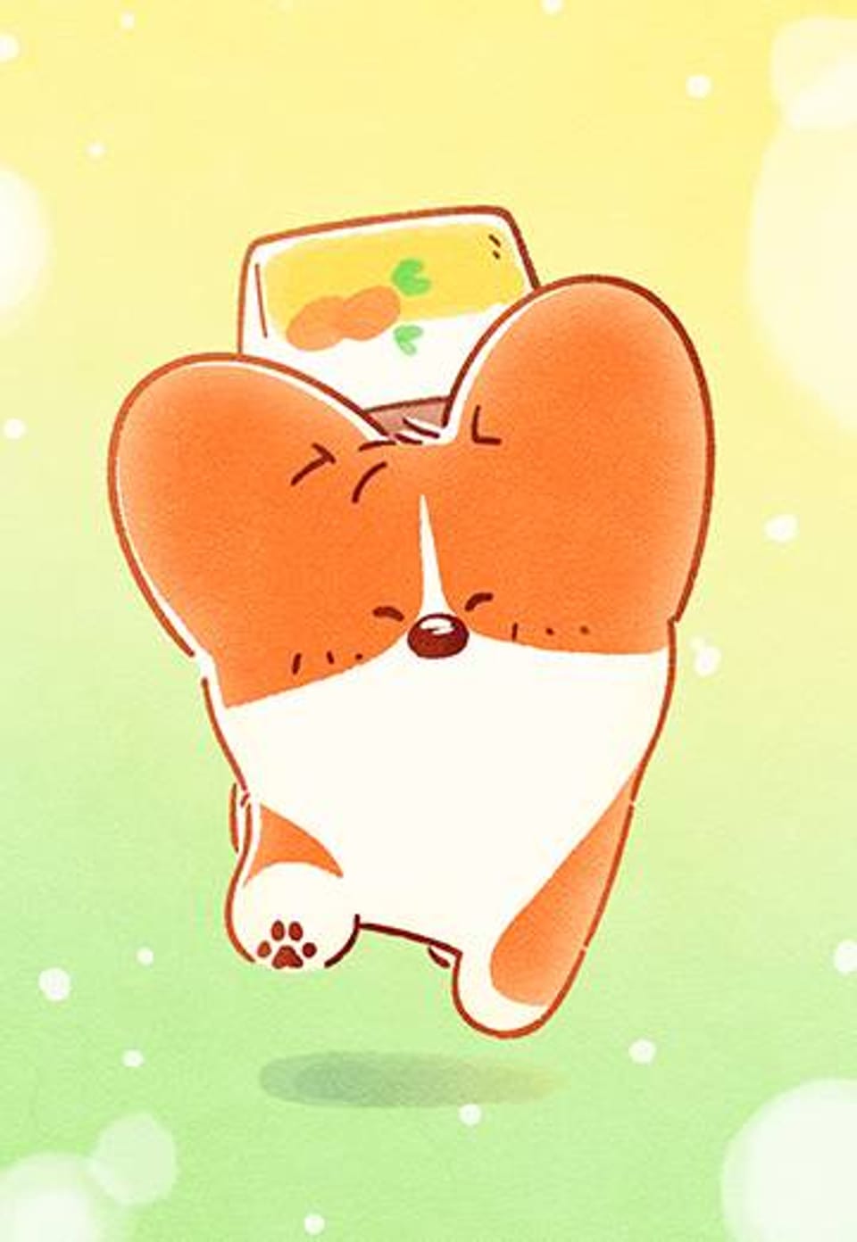 도기코기 12화