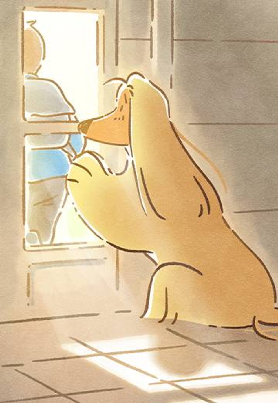 도기코기 14화