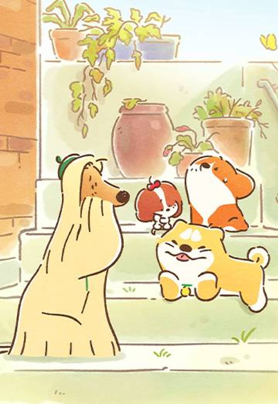 도기코기 20화